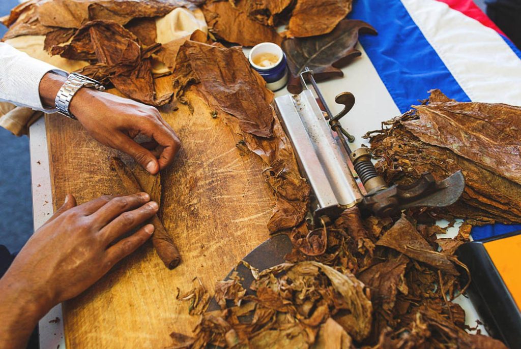 A skilled Cuban torcedor meticulously hand-rolling a cigar — highlighting the artisanal precision that defines premium Cuba cigars