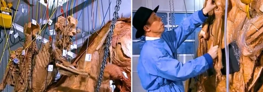 Von Hagens in der Plastinationsanlage für menschliche Körper.