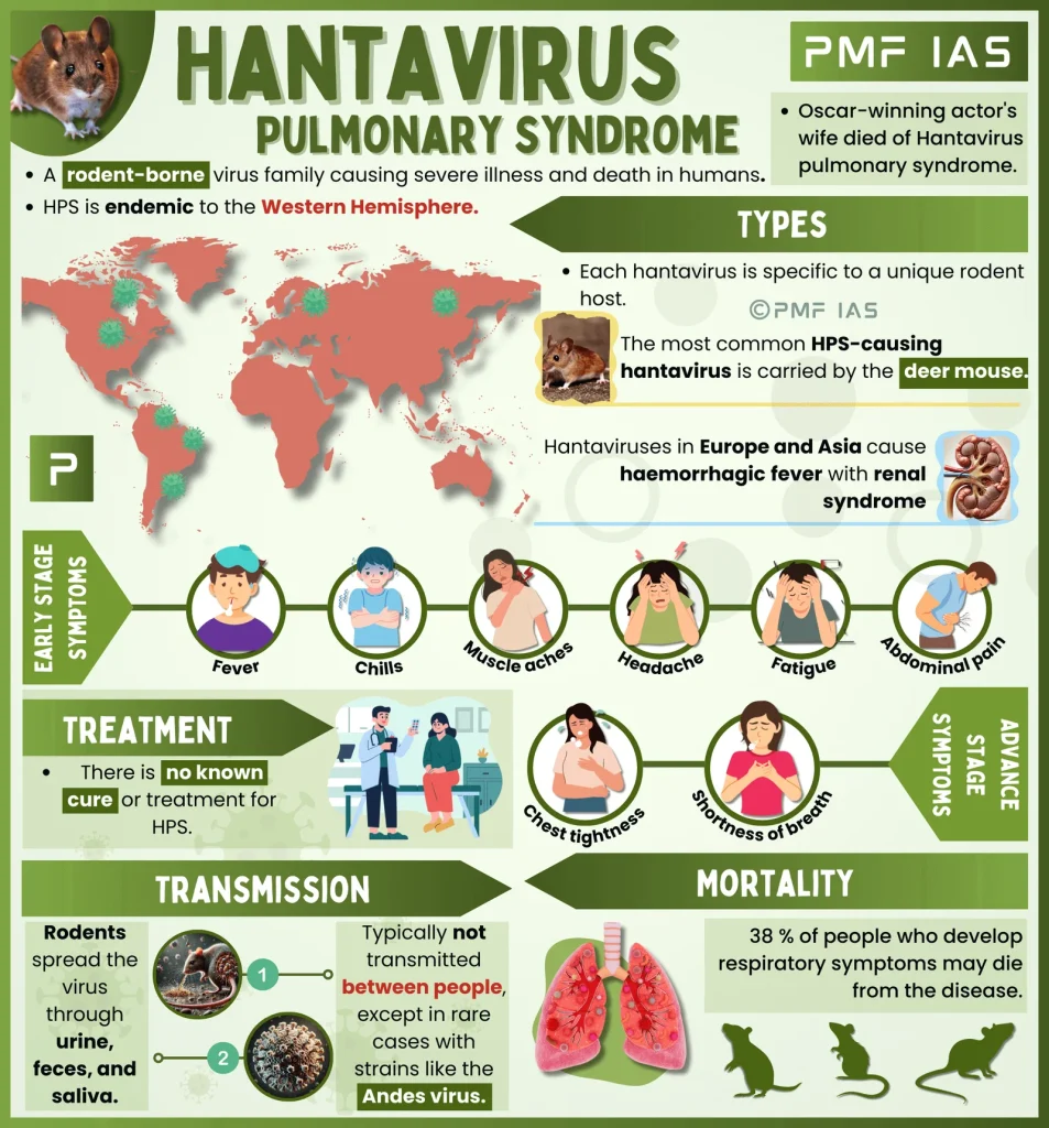 Hantavirus Symptoms: Early Warning Signs, Stages, and What to Do 2 Infographic summary of Hantavirus Pulmonary Syndrome (HPS) symptoms across two stages: the early prodromal phase (fever, fatigue, muscle aches, nausea) lasting up to 5 days, followed by the critical cardiopulmonary phase (coughing, shortness of breath, fluid in the lungs) appearing 4–10 days after initial onset.