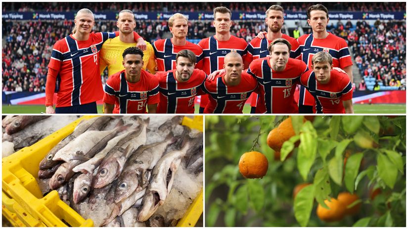 Why Did Norway Bring 300kg of Fish to the 2026 World Cup? The Sports Science Explained 2 1781164502132 FotoJet 2026 06 11T095247.374