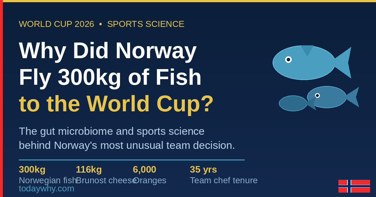 Why Did Norway Bring 300kg of Fish to the 2026 World Cup? The Sports Science Explained 2 Why Did Norway Bring 300kg of Fish to the 2026 World Cup? The Sports Science Explained