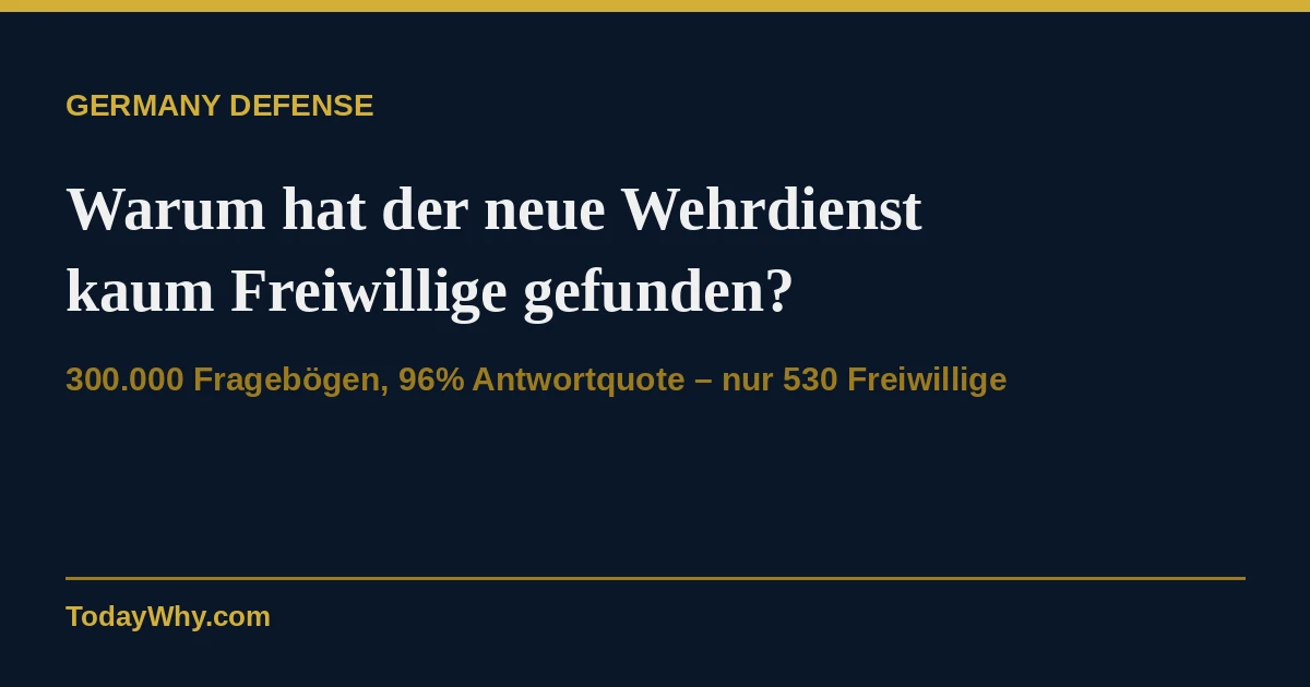 Warum hat der neue Wehrdienst kaum Freiwillige gefunden?