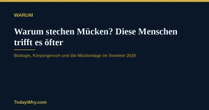 Warum stechen Mücken? Diese Menschen trifft es öfter