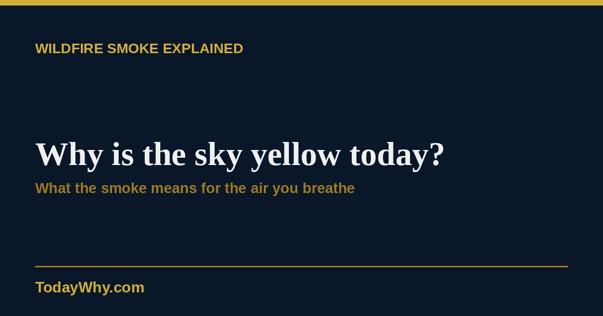 Why is the sky yellow today? Causes explained 6 Why is the sky yellow today? Causes explained