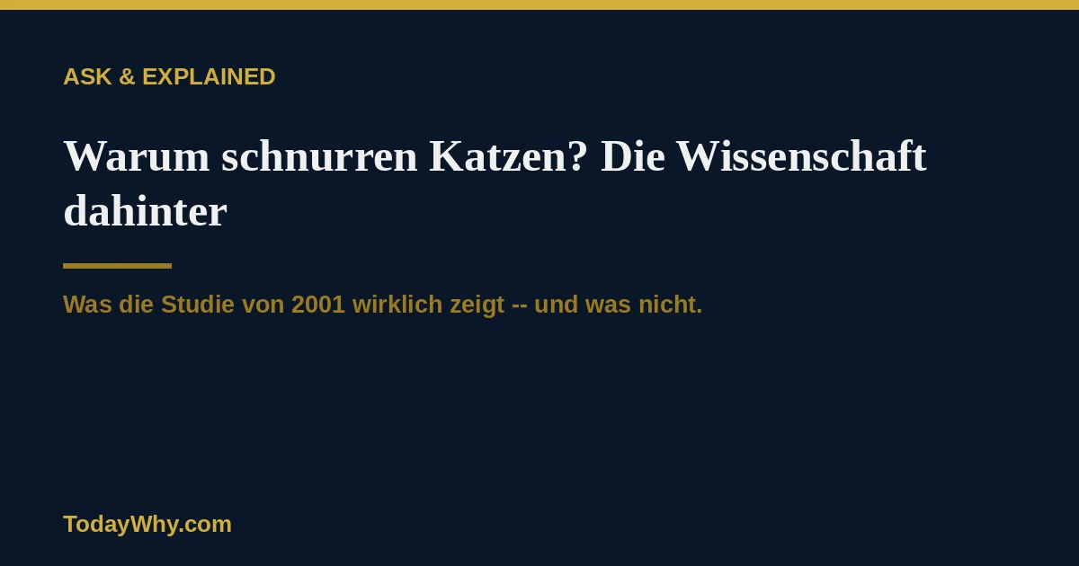 Warum schnurren Katzen? Die Wissenschaft dahinter