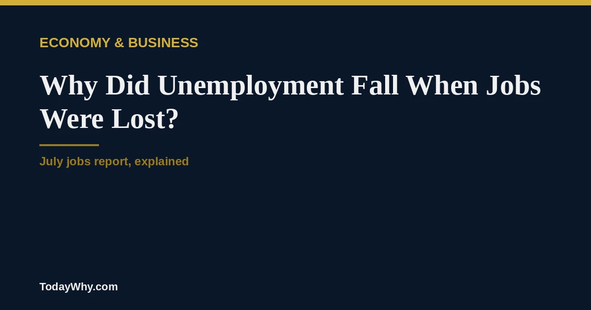 Why did US unemployment fall when jobs were lost?
