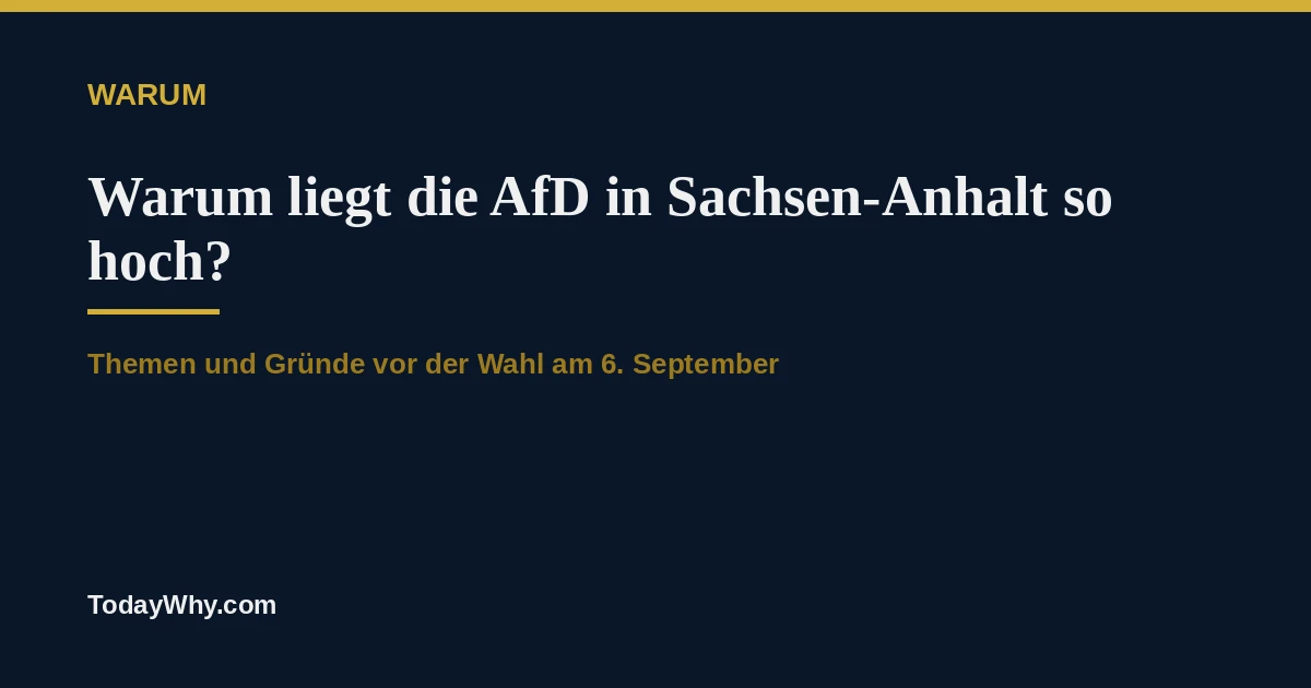 Warum liegt die AfD in Sachsen-Anhalt so hoch in Umfragen?
